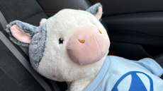 Ford Puma ST 1.5 EcoBoost ST 5dr Petrol Hatchback